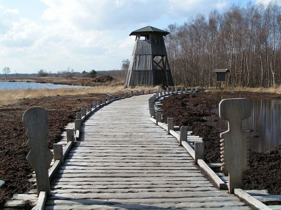 Großes Torfmoor bei Lübbecke: Naturerlebnis in Ostwestfalen 2 Großes Torfmoor Bohlenweg und Aussichtsturm