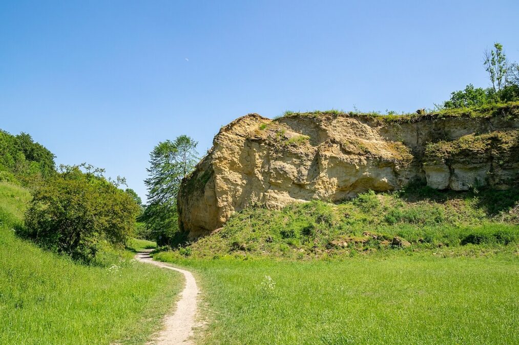Naturschutzgebiet Doberg in Bünde,